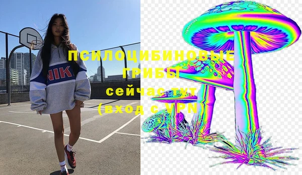 трава Абаза
