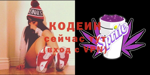 бошки Няндома