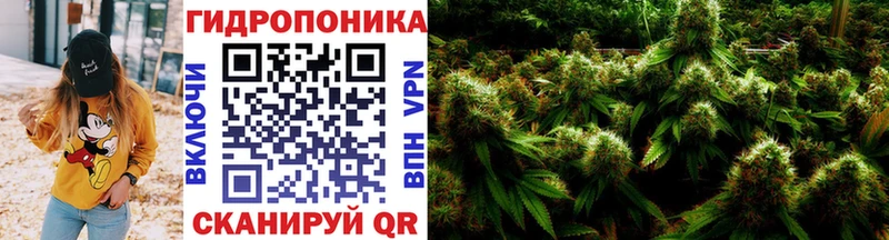 Марихуана White Widow  Дербент 